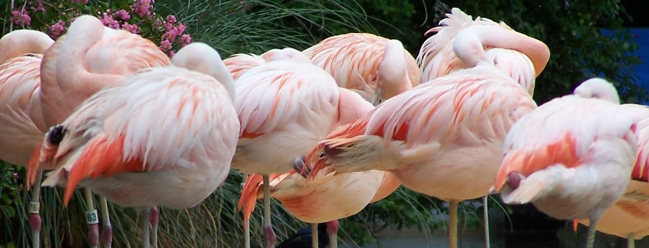 让工作更轻松的短信在线轰炸测试